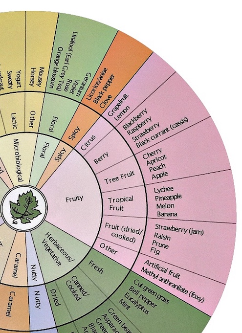 The image shows a section of the current version of Ann Noble Wine Aroma Wheel.