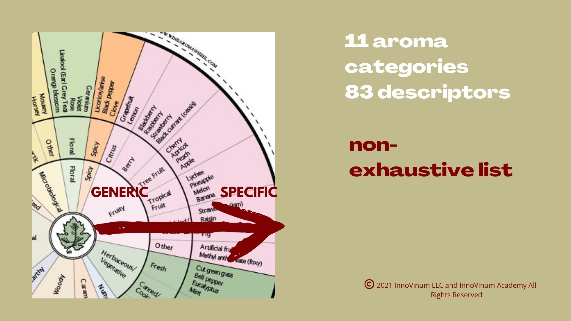 An image showing a partial view of the wine aroma wheel.