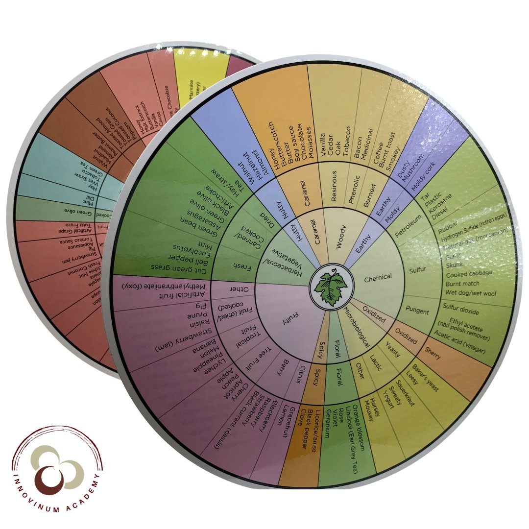 Wine Aroma Wheel Duo on a white background