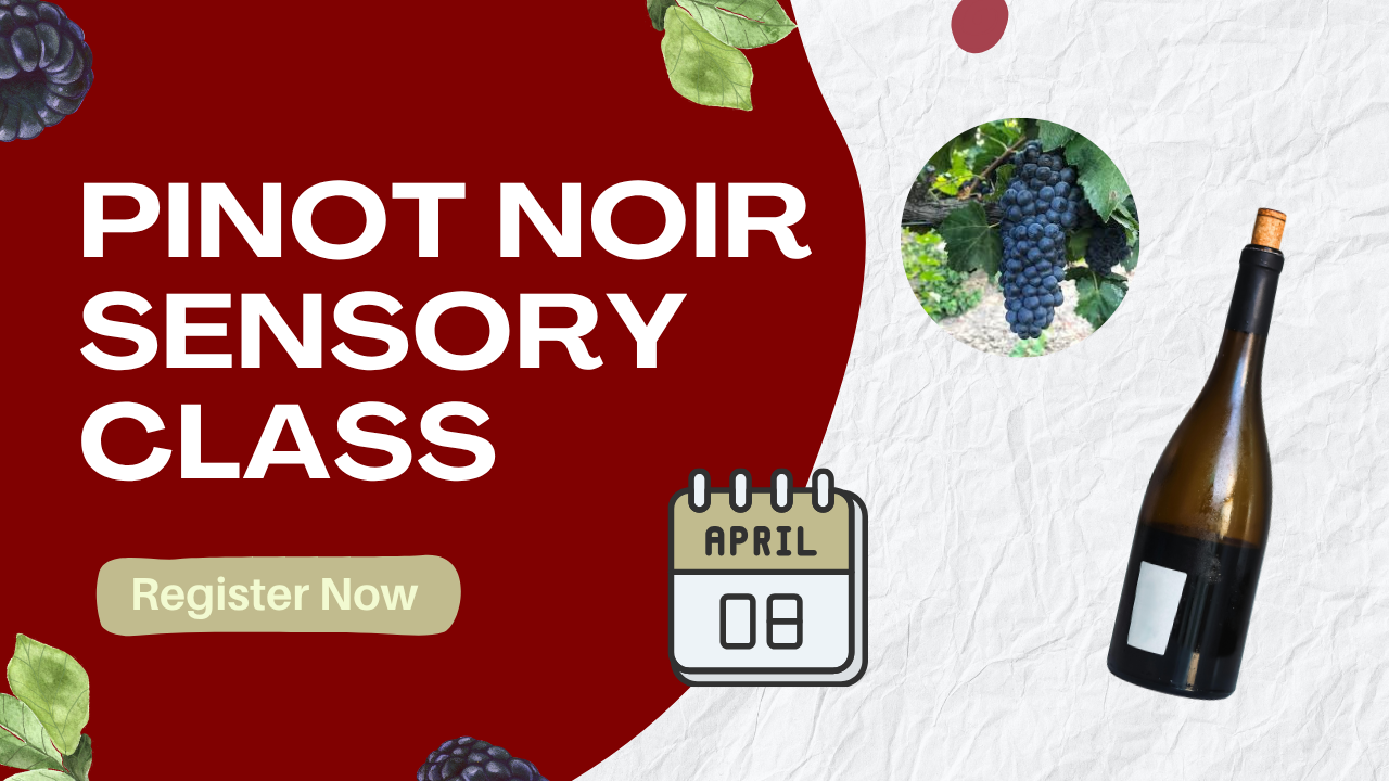 April 8 2026 sensory class